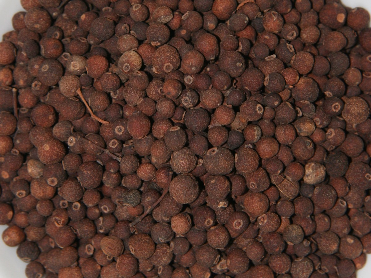 Allspice